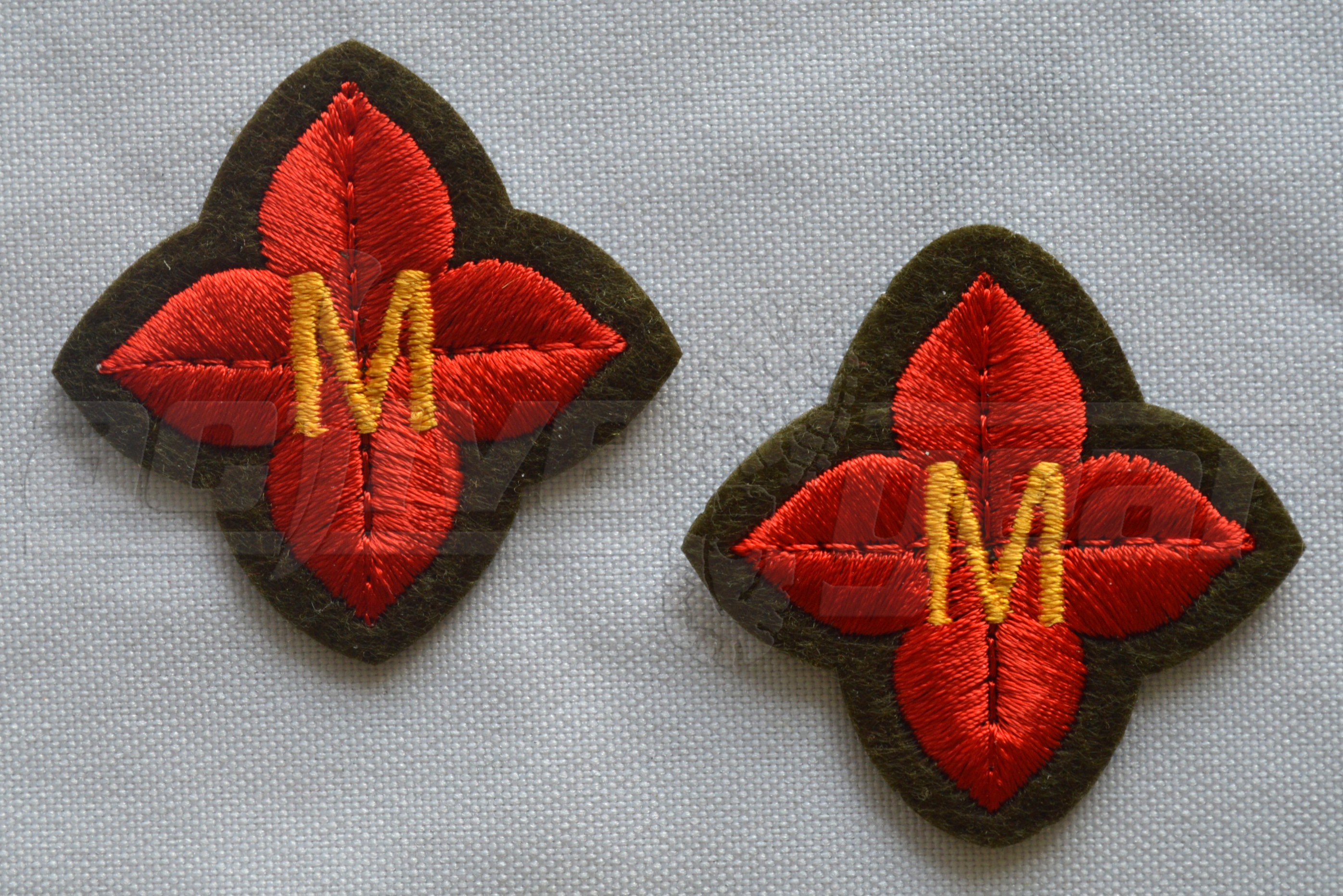 Master Cadet Badge