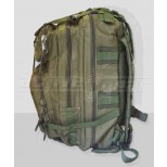 Olive Green Weekender Backpack